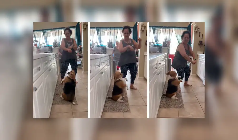 En Facebook, una joven descubrió el momento exacto que su madre y perro bailaron una canción de Sebastián Yatra. En Facebook, una joven descubrió el momento exacto que su madre y perro bailaron una canción de Sebastián Yatra.