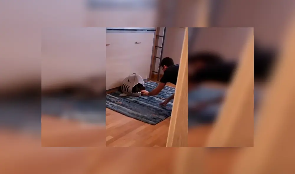 Desliza las imágenes para apreciar la curiosa escena protagonizada por un joven junto a la mascota de su pareja.