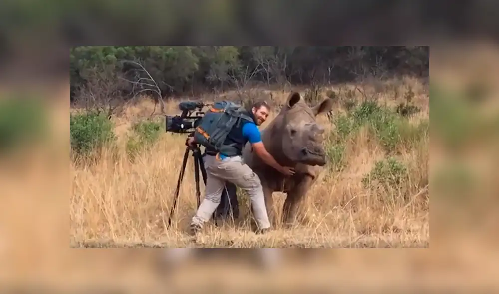 Desliza las imágenes hacia la izquierda para apreciar la sentimental escena protagonizada por un rinoceronte.
