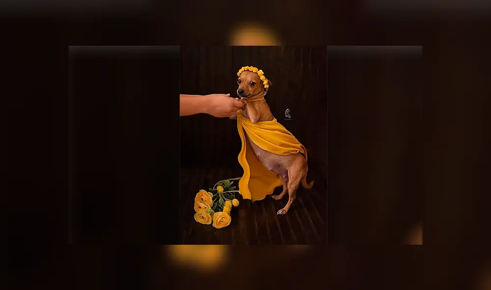 Desliza para ver la sesión fotográfica que se volvió viral en Facebook. Foto: Captura.