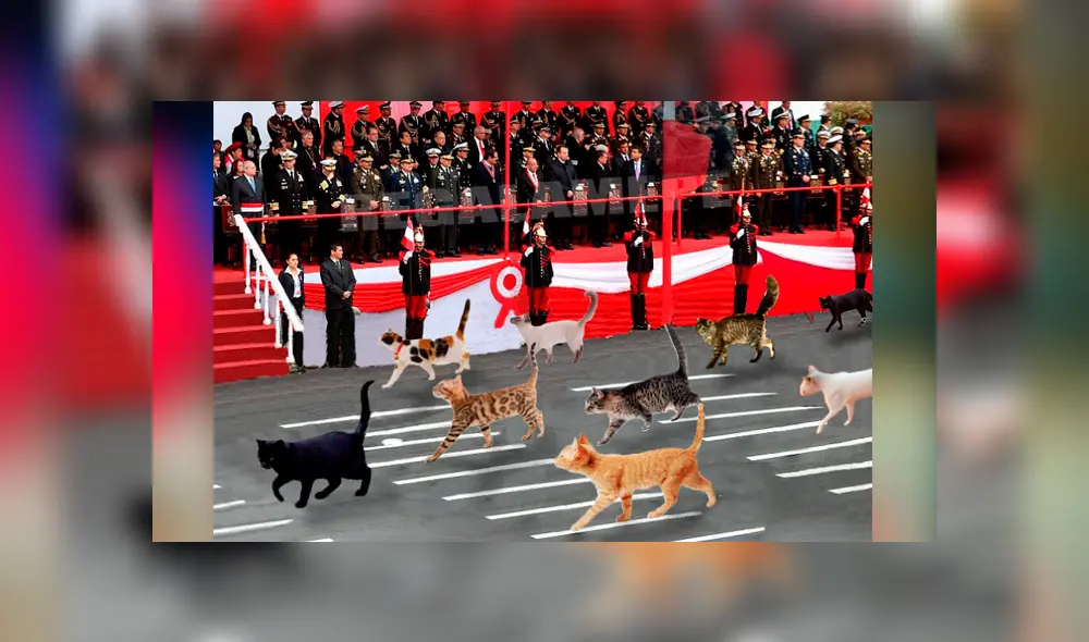 Facebook viral: Parada Militar genera ola de graciosos memes y estos son los mejores
