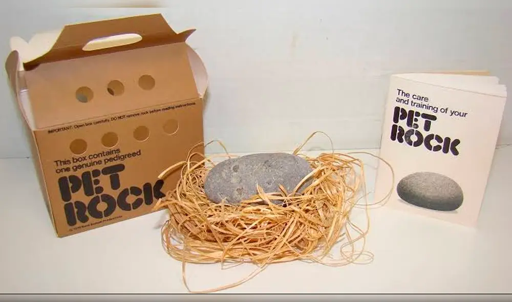 Gary Dahl, el hombre que se hizo millonario vendiendo rocas Gary Dahl, el hombre que se hizo millonario vendiendo rocas