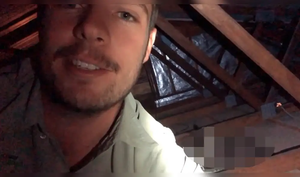 YouTube: serpientes pitón tienen una épica batalla y video causa terror