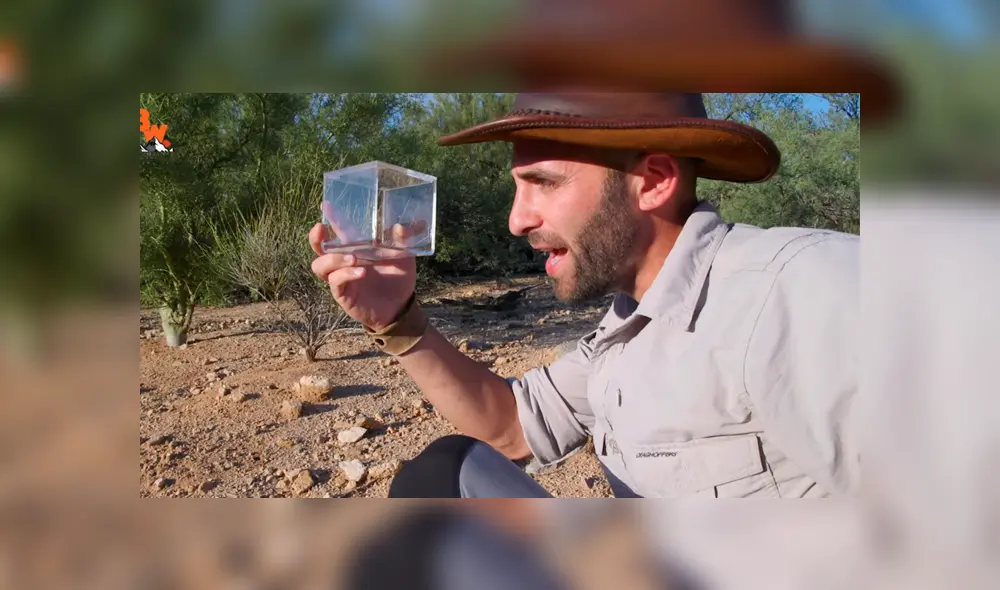 Desliza para ver los momentos más impactantes de este arriesgado experimento que se hizo viral en YouTube. Desliza para ver los momentos más impactantes de este arriesgado experimento que se hizo viral en YouTube.