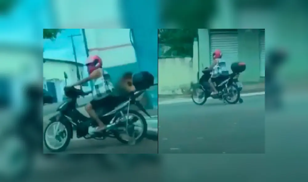 Desliza las imágenes para ver más detalles de esta curiosa escena que es viral en YouTube. Desliza las imágenes para ver más detalles de esta curiosa escena que es viral en YouTube.