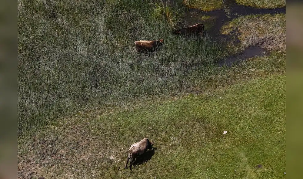 Vilca: El edén a un paso de Lima [FOTOS]