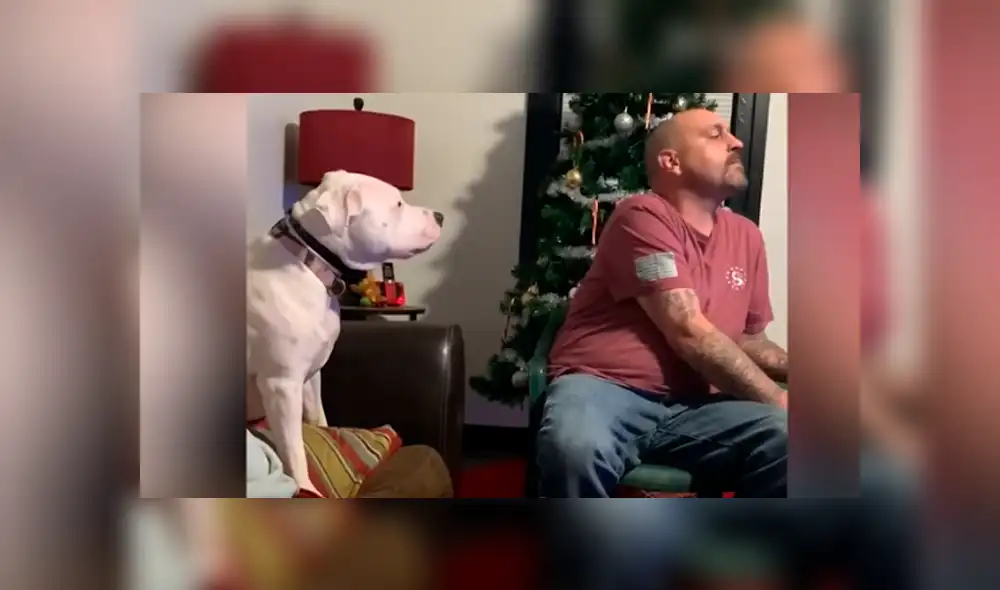 Desliza hacia la izquierda para ver la divertida reacción del perro que es 'famoso' en Facebook. Desliza hacia la izquierda para ver la divertida reacción del perro que es 'famoso' en Facebook.