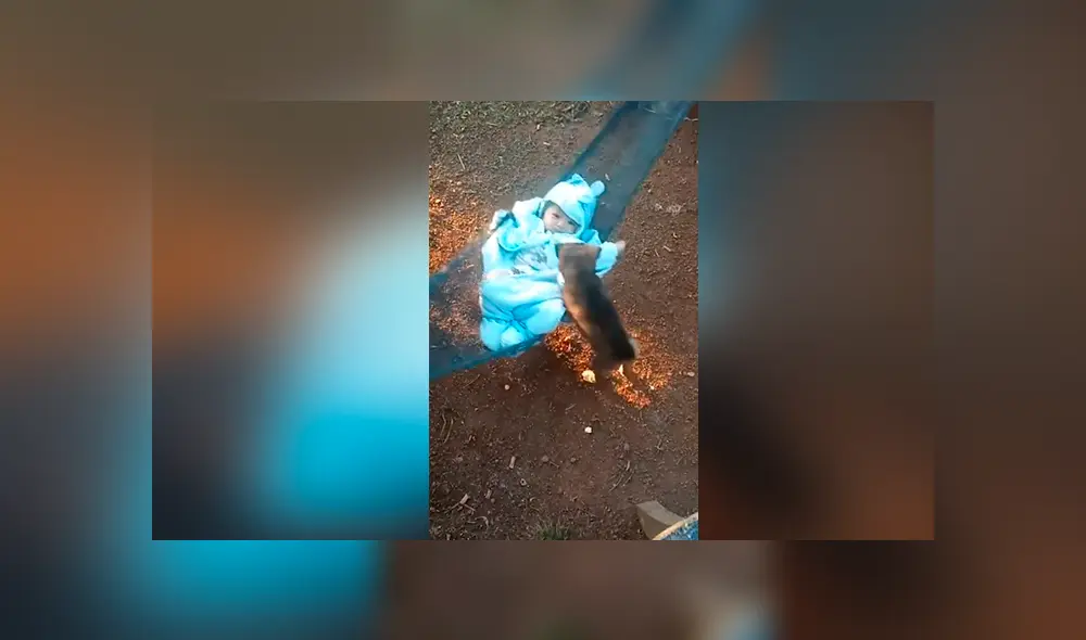 Facebook viral: madre graba el momento exacto en que perro bebé juega con su hijo y genera ternura Facebook viral: madre graba el momento exacto en que perro bebé juega con su hijo y genera ternura