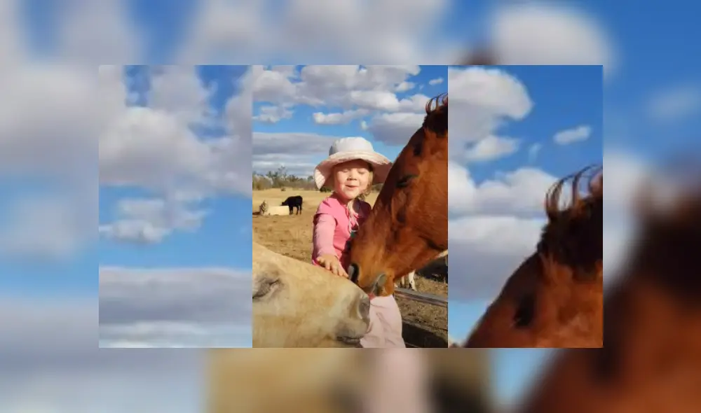 Desliza hacia la izquierda para ver más del video viral. Fotocaptura: YouTube Desliza hacia la izquierda para ver más del video viral. Fotocaptura: YouTube