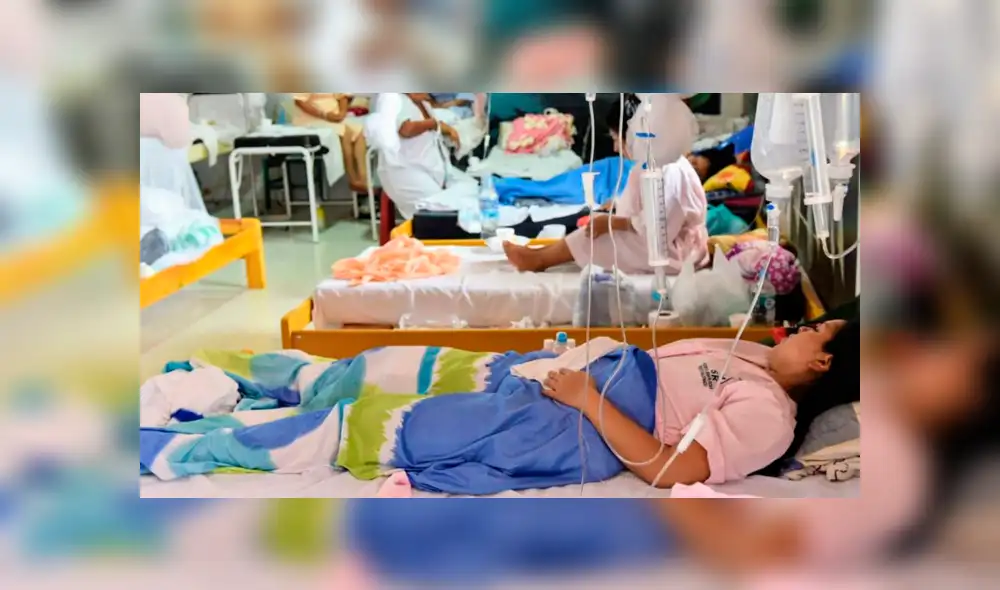 Foto: Paolo Peña Foto: Paolo Peña