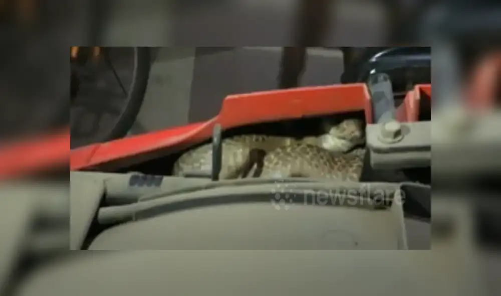 Desliza hacia la izquierda para ver las imágenes del viral de Facebook. Foto: Captura. Desliza hacia la izquierda para ver las imágenes del viral de Facebook. Foto: Captura.