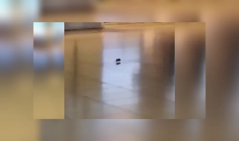 Desliza para ver los detalles del video viral publicado en YouTube. Foto: Captura.