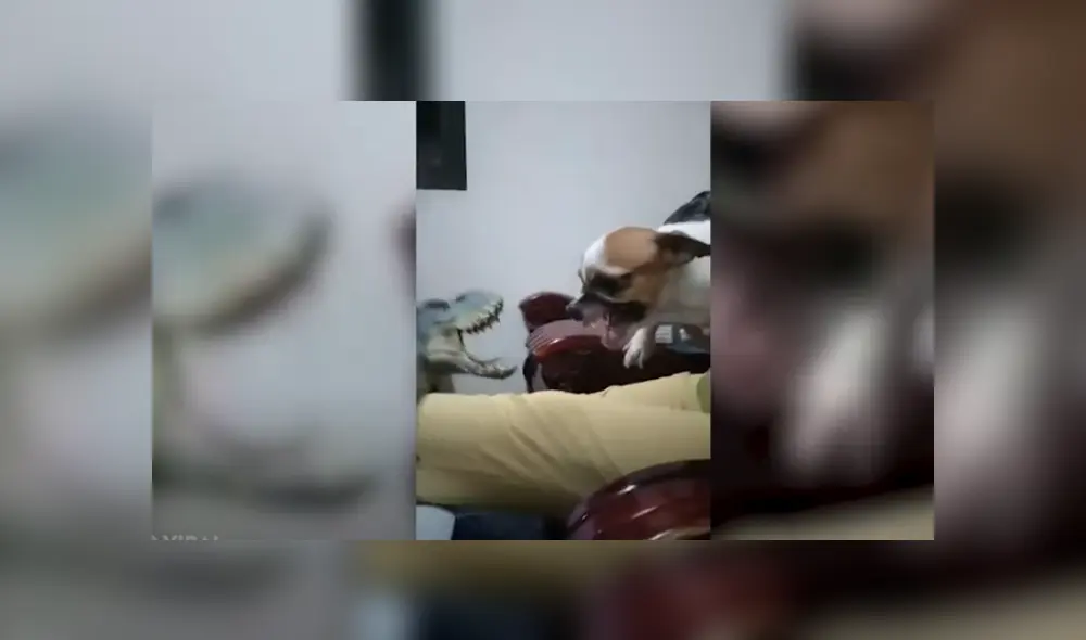 Desliza hacia la izquierda para ver las imágenes del viral de YouTube. Foto: Captura.