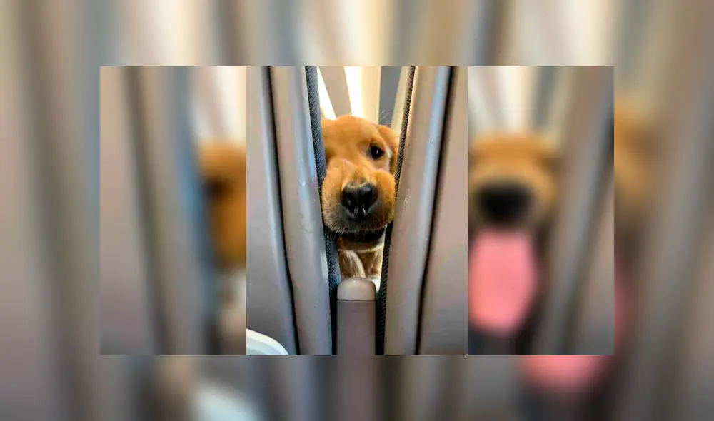 Desliza para ver los detalles de esta historia viral de Facebook. Foto: Captura. Desliza para ver los detalles de esta historia viral de Facebook. Foto: Captura.