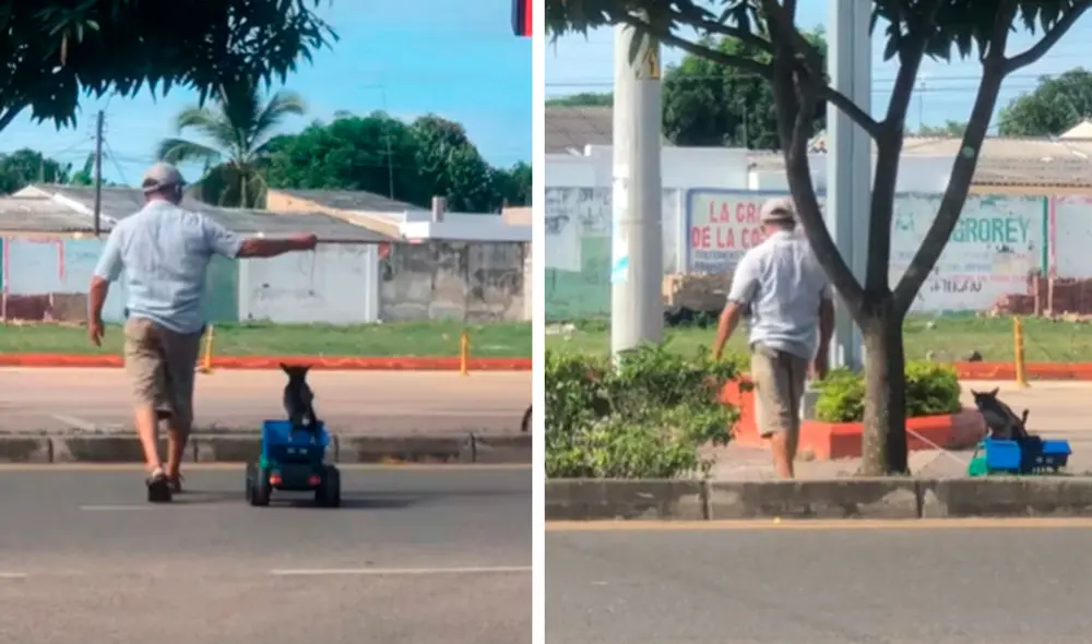 Desliza las imágenes para ver el curioso momento entre un hombre junto a su perro cuando salieron a pasear al parque. Foto: captura de TikTok Desliza las imágenes para ver el curioso momento entre un hombre junto a su perro cuando salieron a pasear al parque. Foto: captura de TikTok