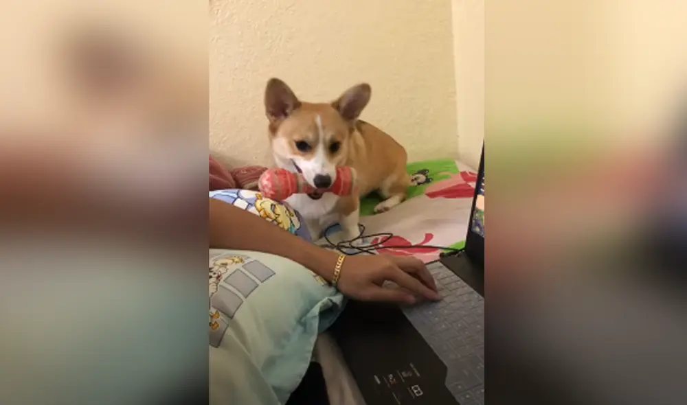 Desliza hacia la izquierda para ver las imágenes del video viral. Foto: Captura de Facebook. Desliza hacia la izquierda para ver las imágenes del video viral. Foto: Captura de Facebook.