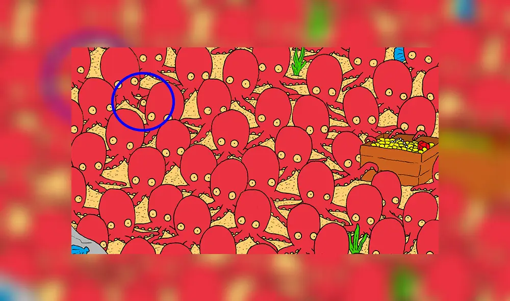 Desliza las fotografías para conocer más sobre este ‘reto visual’ de Facebook, el cual ha puesto a prueba a miles de usuarios. Foto: thedudolf.blogspot.com