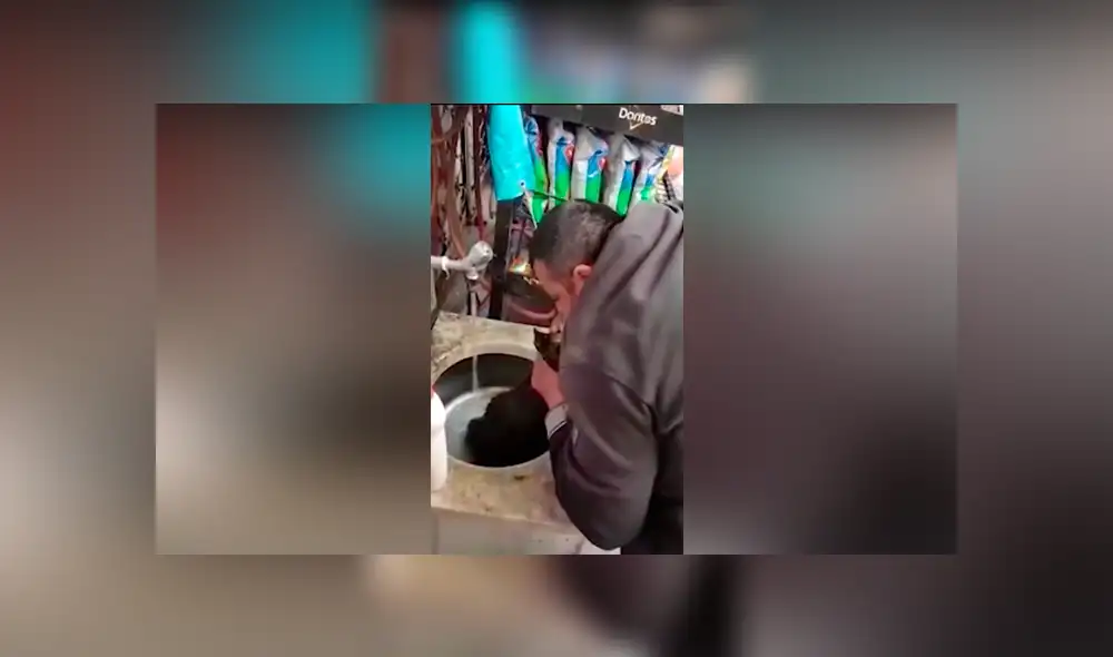 YouTube viral: perrito se atraganta con salchicha y “héroe” le hace respiración boca a boca para salvarlo [VIDEO] 