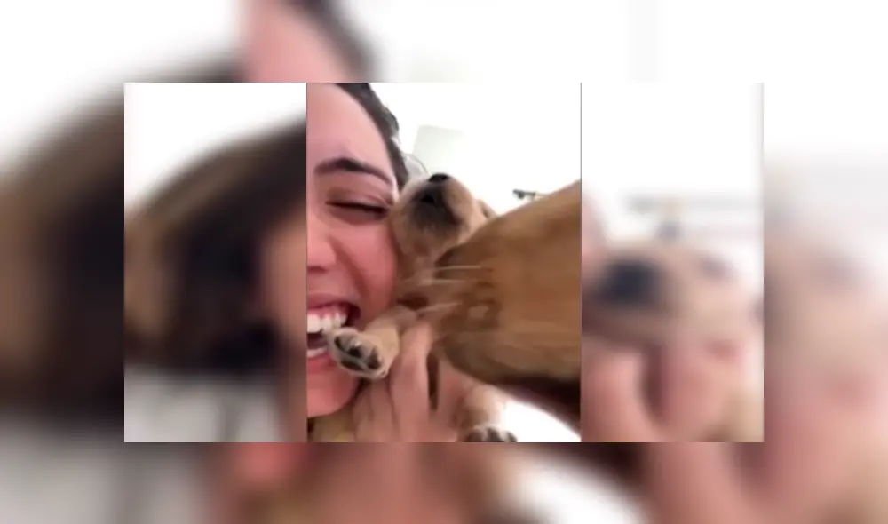 En Facebook, un cachorro de 19 días de nacido imitó los sonidos que realizó su dueña y cautivó con el resultado. En Facebook, un cachorro de 19 días de nacido imitó los sonidos que realizó su dueña y cautivó con el resultado.