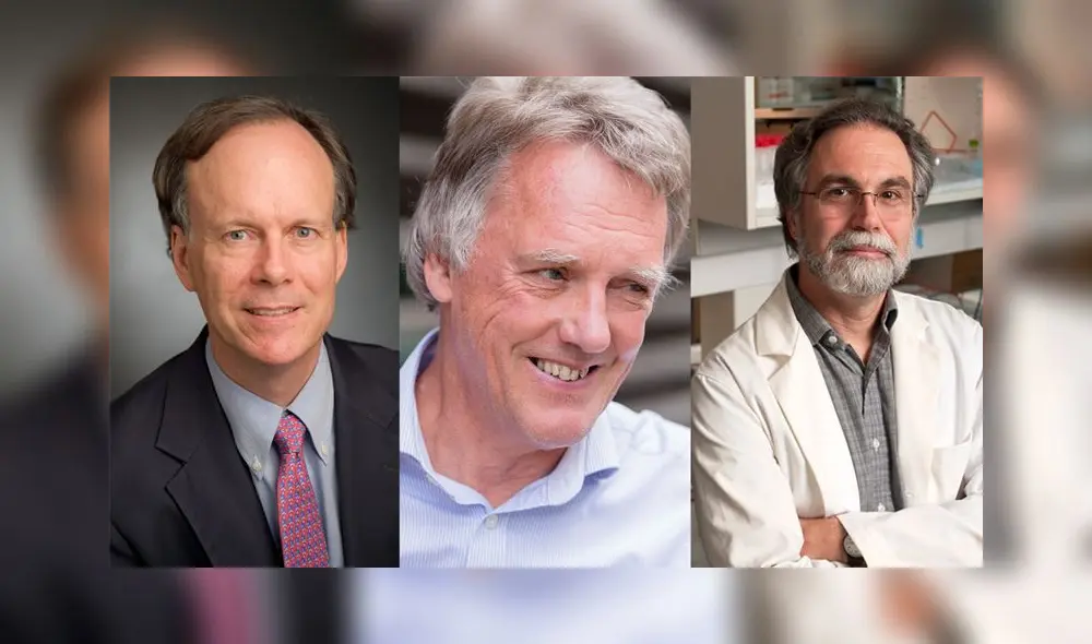 Premio Nobel de Medicina 2019: Los ganadores y sus descubrimientos que podrían revolucionar la ciencia Premio Nobel de Medicina 2019: Los ganadores y sus descubrimientos que podrían revolucionar la ciencia