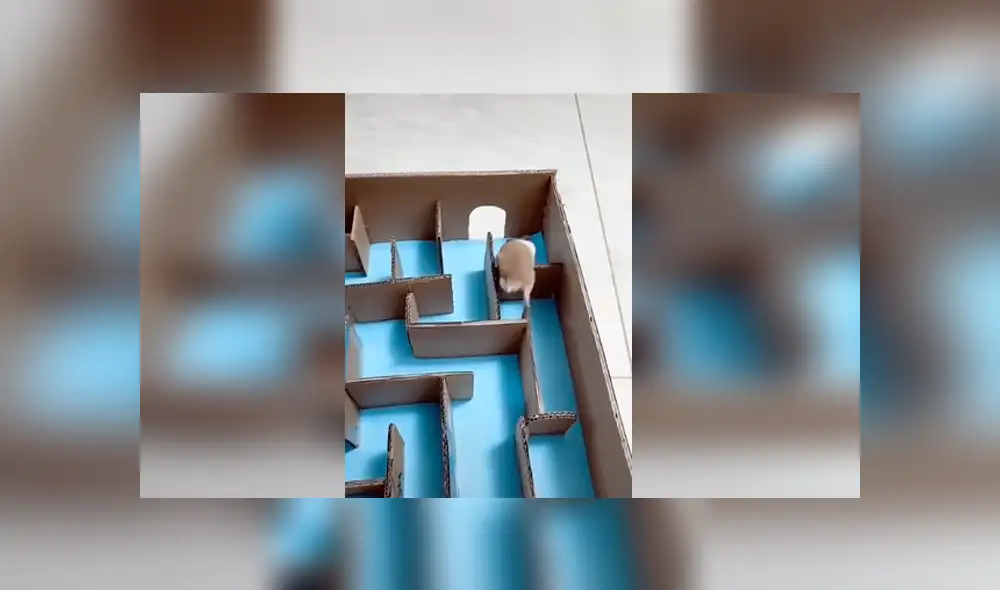 Desliza para ver el desenlace de este video viral de YouTube. Foto: Captura. Desliza para ver el desenlace de este video viral de YouTube. Foto: Captura.