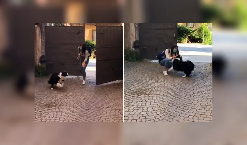 A través de Facebook se hizo viral el conmovedor reencuentro entre una joven y su perro.