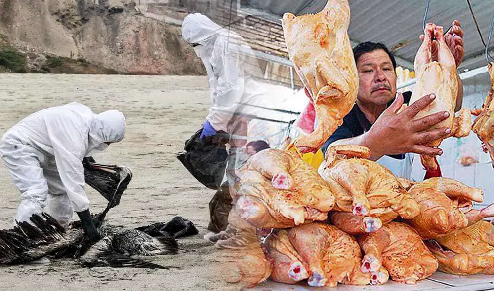 Foto: composición Fabrizio Oviedo/Antonio Melgarejo/La República Foto: composición Fabrizio Oviedo/Antonio Melgarejo/La República