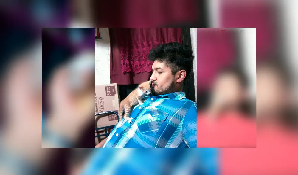 Desliza para ver el radical cambio de este gatito que enamoró a miles en Facebook. Foto: Captura.