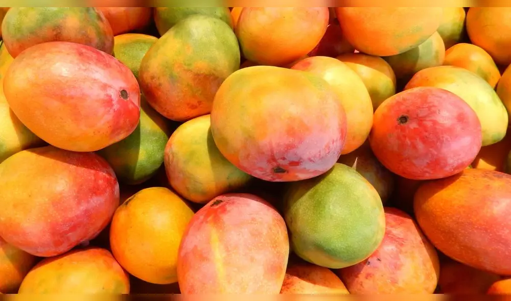 Mangotón, el panetón de mango de los estudiantes de la Universidad de la Frontera