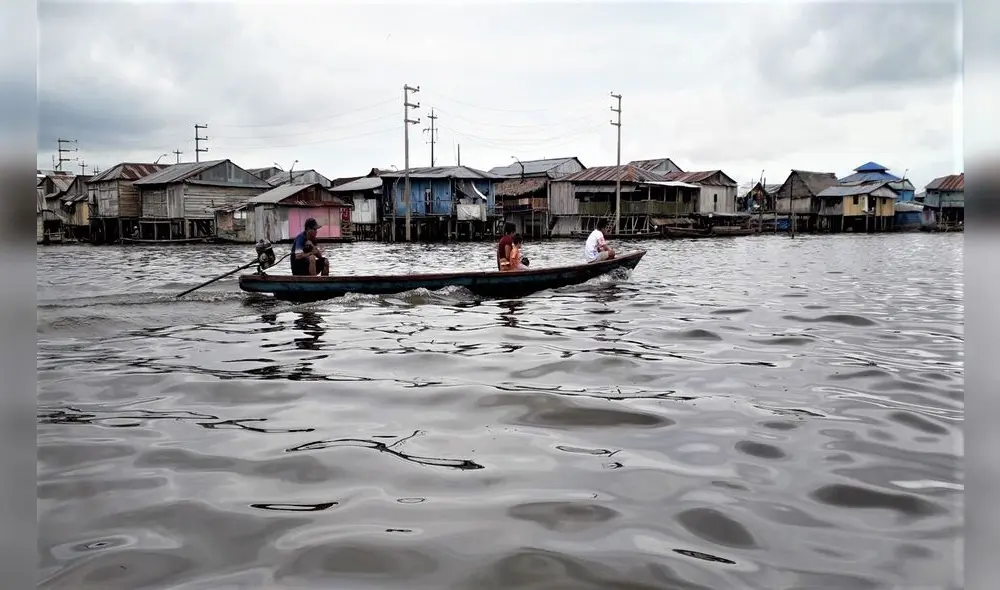 Amazonía del Perú. Foto Franklin Cornejo Urbina. Amazonía del Perú. Foto Franklin Cornejo Urbina.