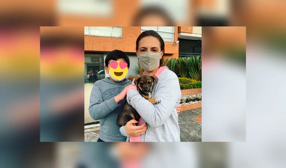 Desliza las imágenes para conocer la conmovedora historia de Vicente que consiguió una nueva familia. Foto: Fundación Rescátame.