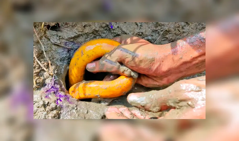 YouTube viral. Letal criatura aparece en misterioso hoyo de barro.