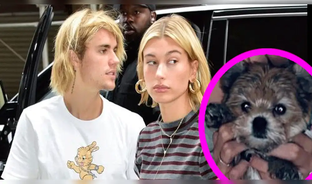 Repudian a Justin Bieber y Hailey Baldwin por supuesto maltrato animal [VIDEO]