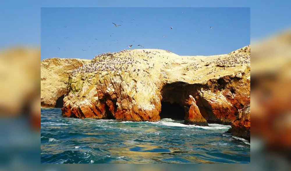 Reserva nacional de Paracas en riesgo por posible construcción de puerto para minerales | Créditos: difusión