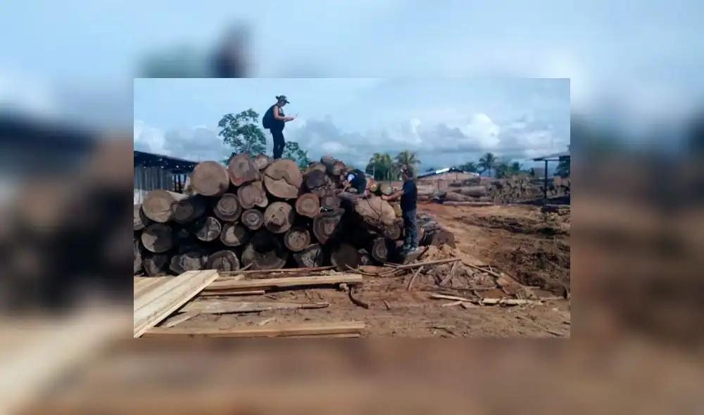 Iquitos: Policía incautó un millón y medio de pies tablares de madera 