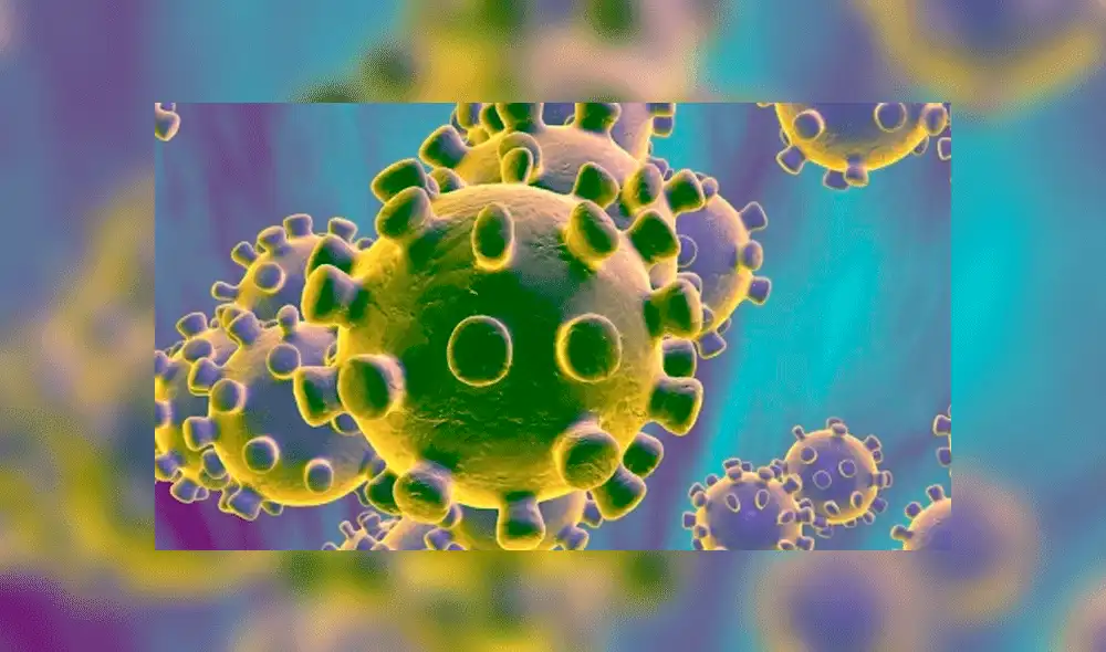 Instituto de Virología de Wuhan desmiente que la 'paciente cero’ del coronavirus sea investigadora del laboratorio Instituto de Virología de Wuhan desmiente que la 'paciente cero’ del coronavirus sea investigadora del laboratorio