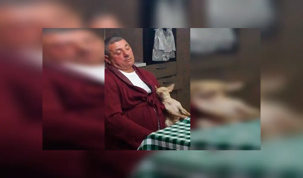 En Facebook, un padre fue descubierto en emotiva escena junto a un perro tras mostrar su rechazo por querer una mascota. En Facebook, un padre fue descubierto en emotiva escena junto a un perro tras mostrar su rechazo por querer una mascota.