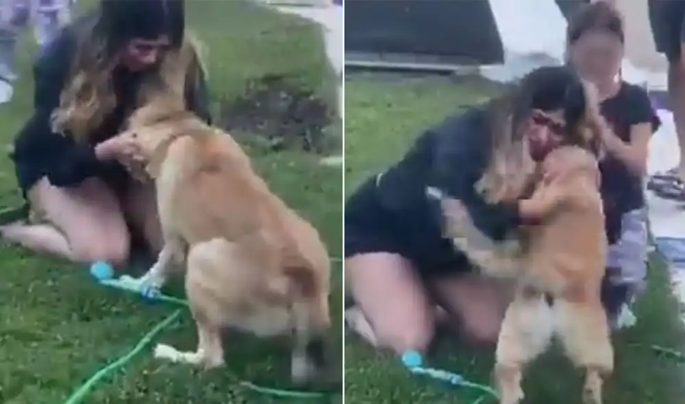 Desliza las imágenes para conocer más sobre esta conmovedora escena entre dos hermanas y su perro Oscar, que estuvo varias semanas perdido. Foto: captura de Instagram Desliza las imágenes para conocer más sobre esta conmovedora escena entre dos hermanas y su perro Oscar, que estuvo varias semanas perdido. Foto: captura de Instagram