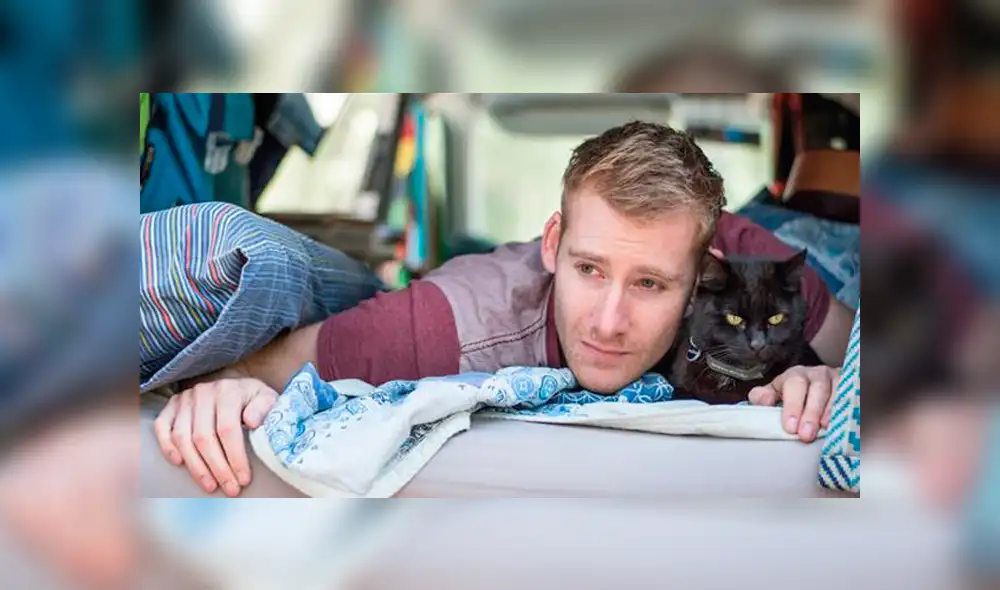 Instagram: renunció a su trabajo y vendió todo para recorrer Australia junto a su gata [FOTOS]