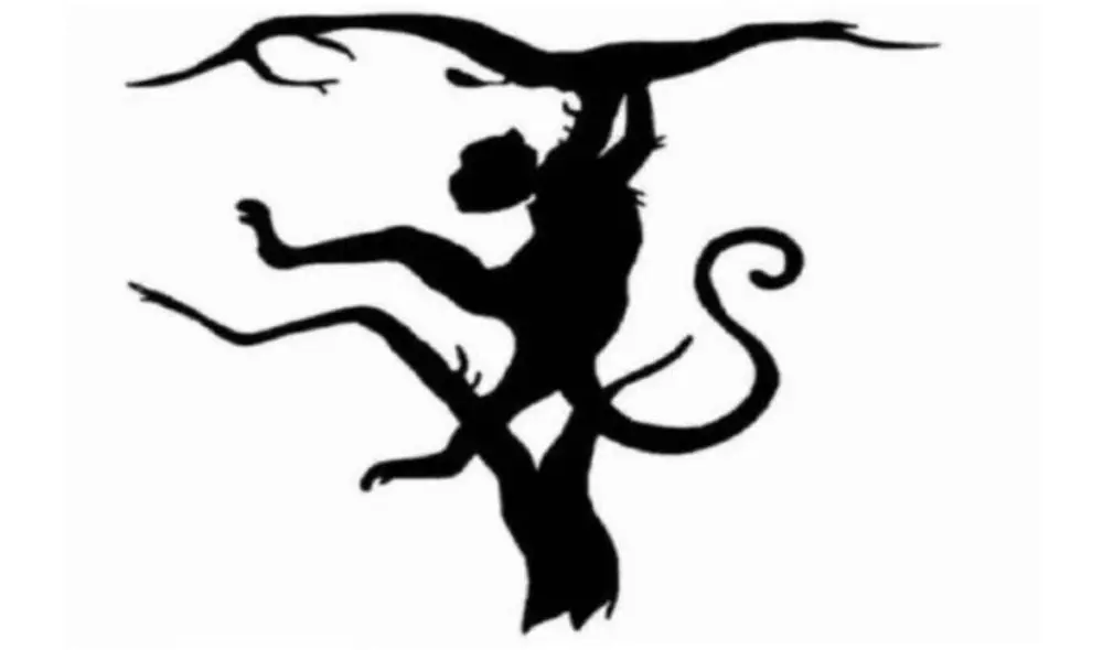 El primer animal que encuentres definirá tu personalidad. Foto: Facebook