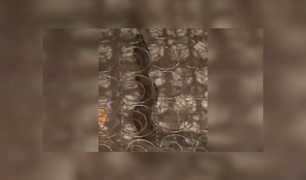 Desliza para enterarte de lo que encontraron dentro de un colchón en Indonesia. Foto: Captura. Desliza para enterarte de lo que encontraron dentro de un colchón en Indonesia. Foto: Captura.