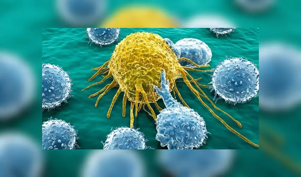 Investigadores españoles evalúan cómo ayudar a revertir el bloqueo epigenético en la base del ARN de una célula cancerígena. (Foto: Referencial) Investigadores españoles evalúan cómo ayudar a revertir el bloqueo epigenético en la base del ARN de una célula cancerígena. (Foto: Referencial)