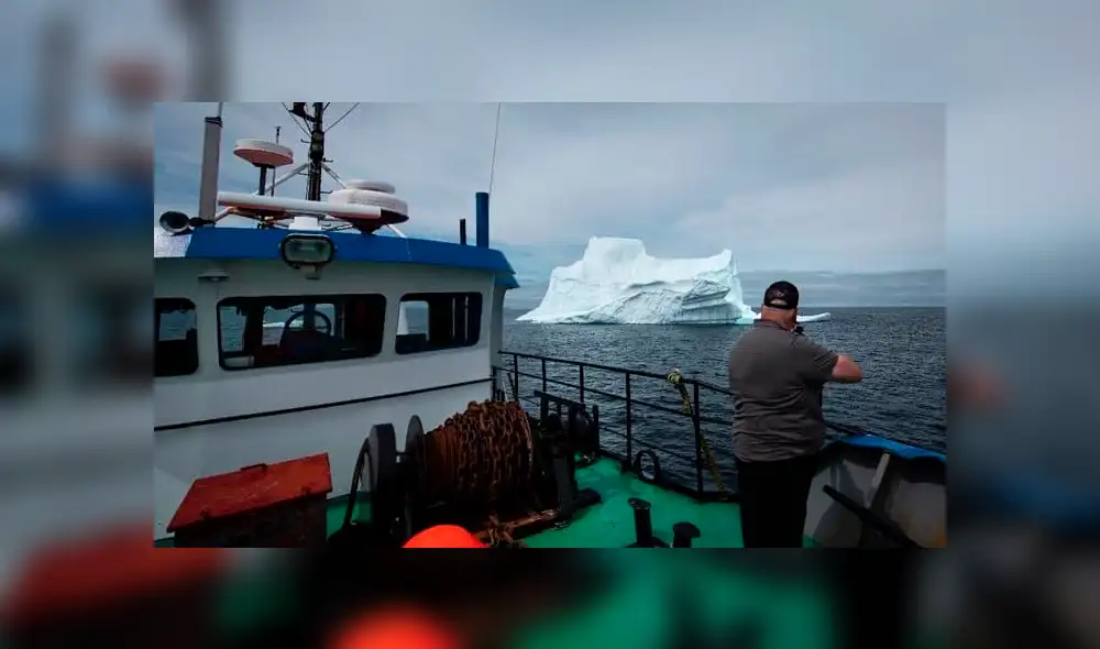 Lamentablemente este se ha vuelto un negocio lucrativo en Canadá. Lamentablemente este se ha vuelto un negocio lucrativo en Canadá.