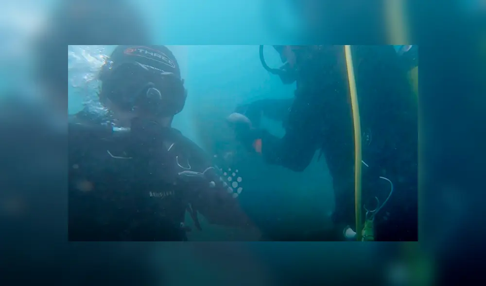 Intrépida anciana que buceaba en las profundidades del mar rescató a un tiburón. Intrépida anciana que buceaba en las profundidades del mar rescató a un tiburón.