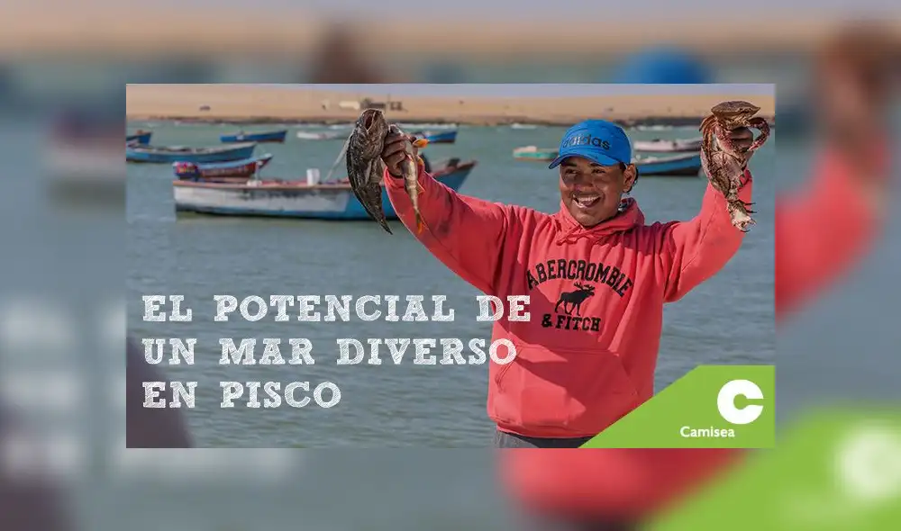 El potencial de un mar diverso en Pisco