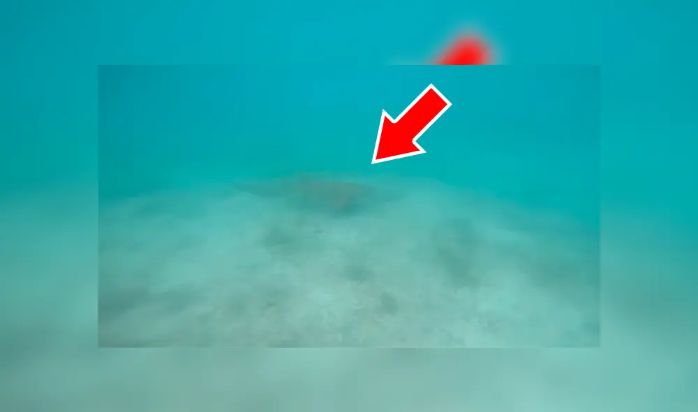 Un video viral muestra cómo un hombre hizo algo increíble para evitar se devorado por un gigantesco tiburón.