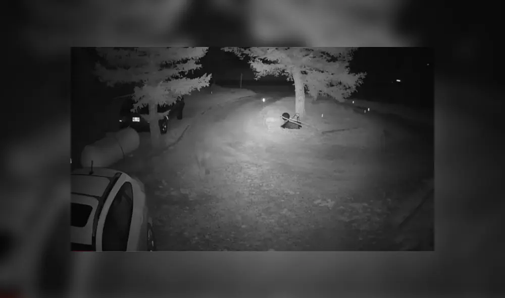 Desliza hacia la izquierda para ver las imágenes del viral de Facebook.