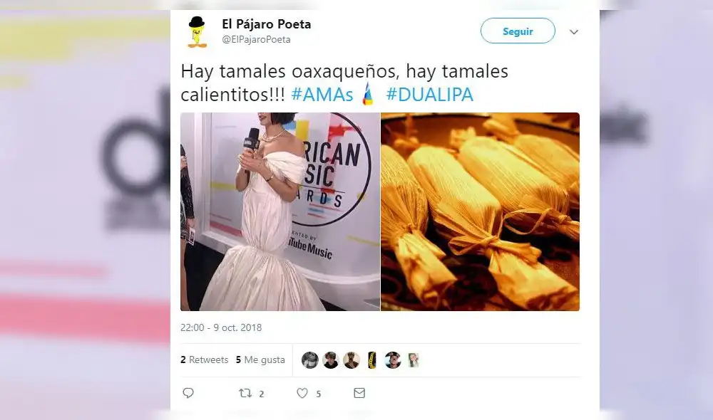 American Music Awards 2018 : Dua Lipa blanco de memes por su vestido de gala [FOTOS]