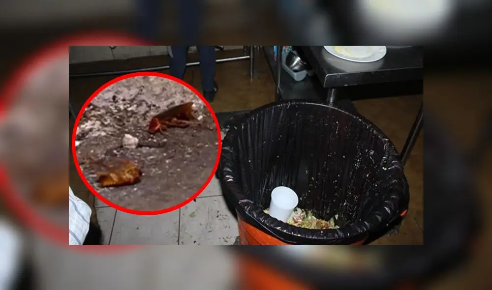 Encuentran cucarachas en restaurantes de Lima. Fotos: Panamericana.