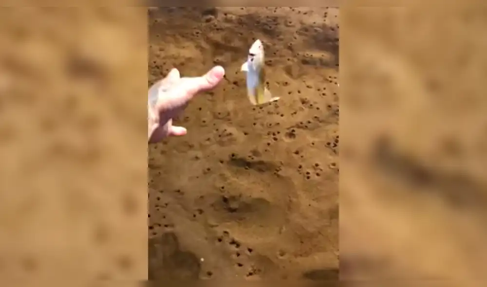 Facebook: se asustó al regresar un pez a lago y ocurre algo espeluznante [VIDEO]